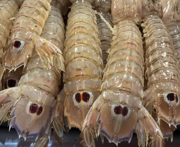 Fish market 1